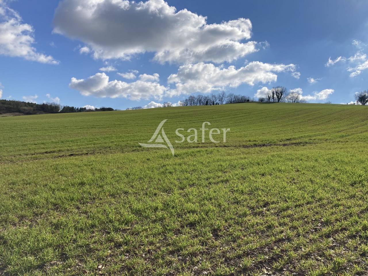 Propri&eacute;t&eacute; d'&eacute;levage dans un cadre bucolique sur 32ha