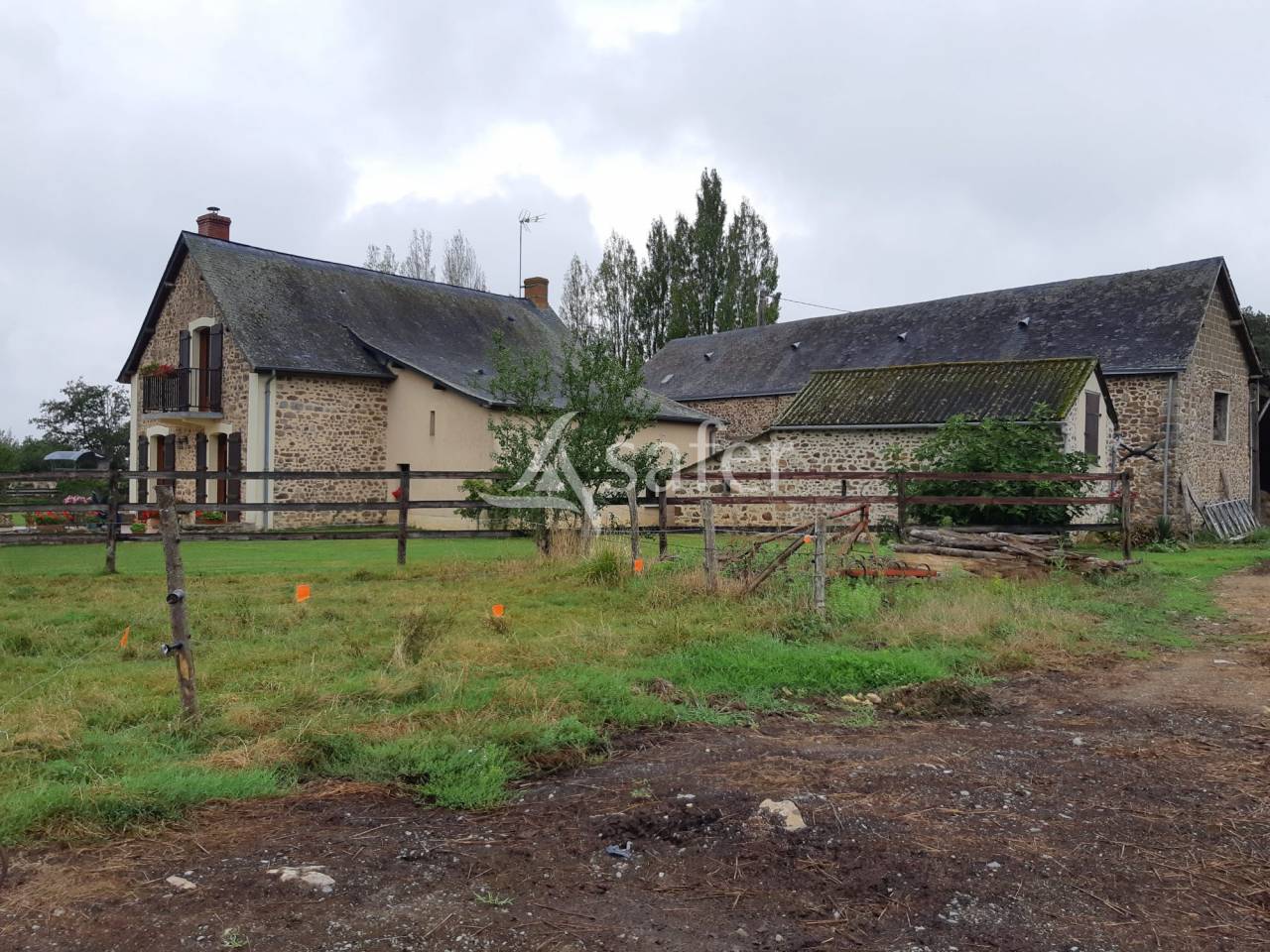 Exploitation agricole bovins viandes