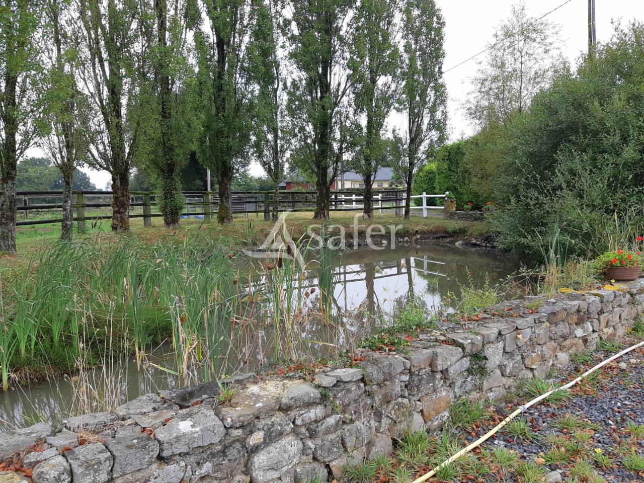 Exploitation agricole bovins viandes