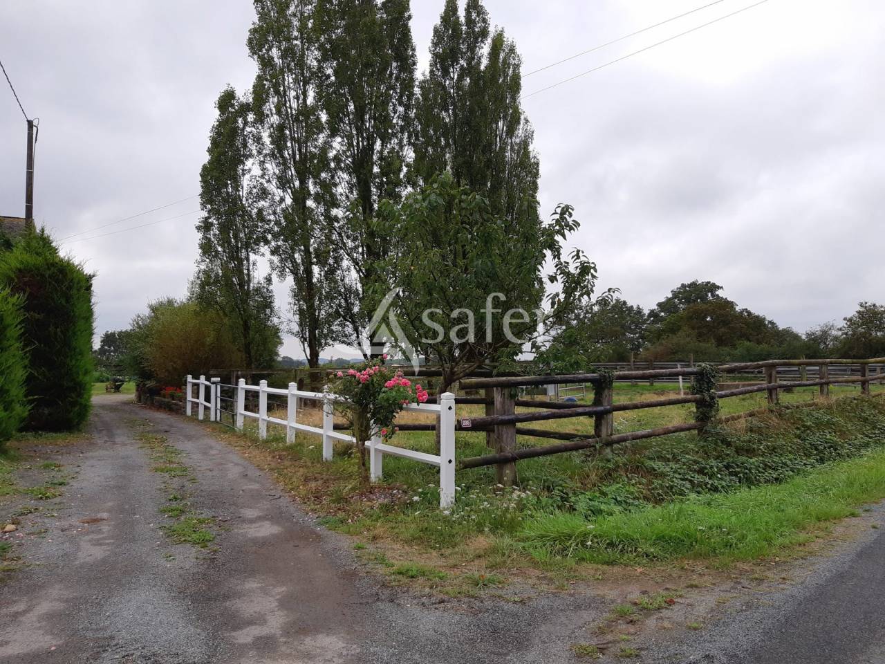 Exploitation agricole bovins viandes