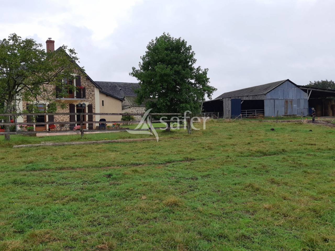 Exploitation agricole bovins viandes