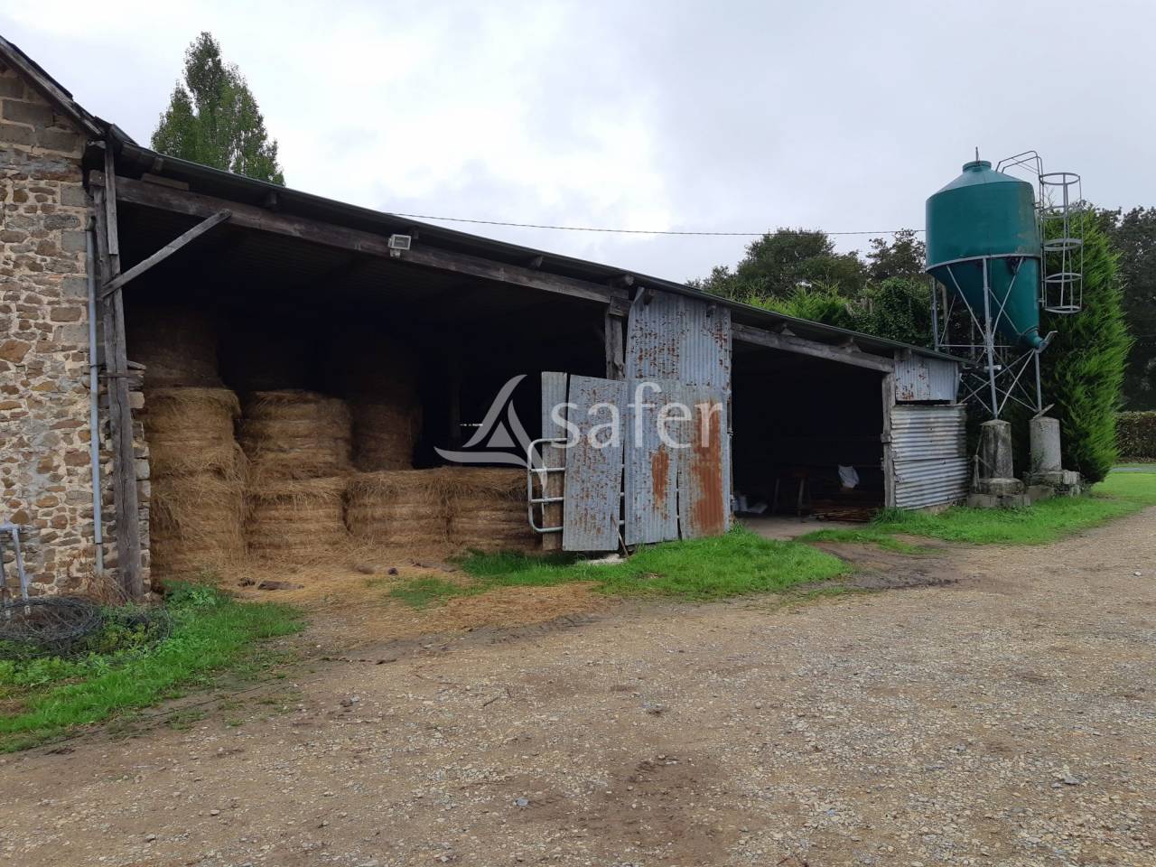 Exploitation agricole bovins viandes