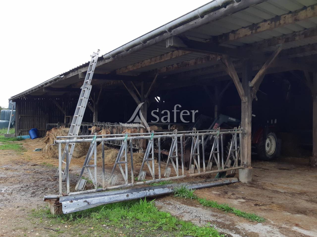 Exploitation agricole bovins viandes