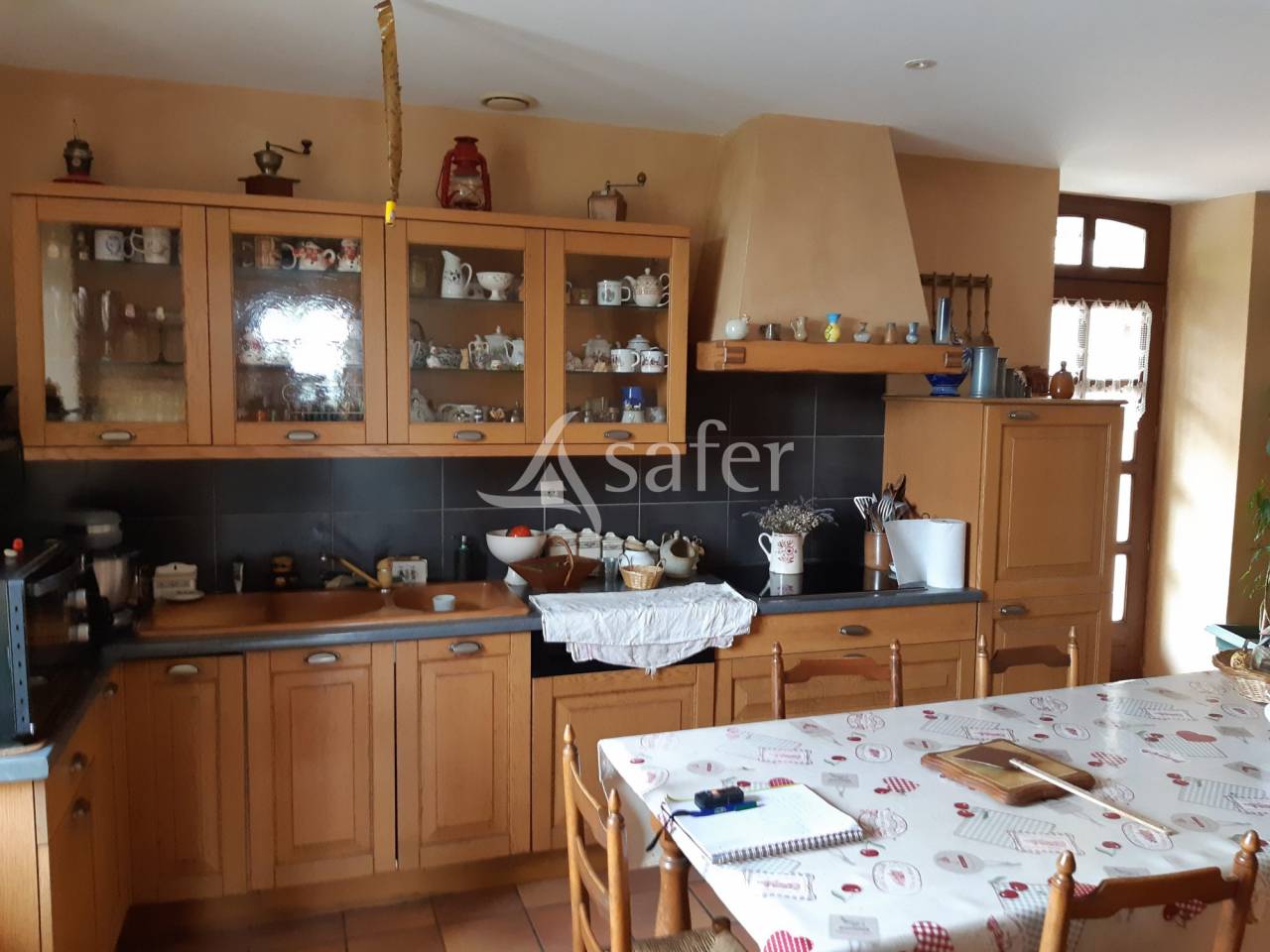 Exploitation agricole bovins viandes