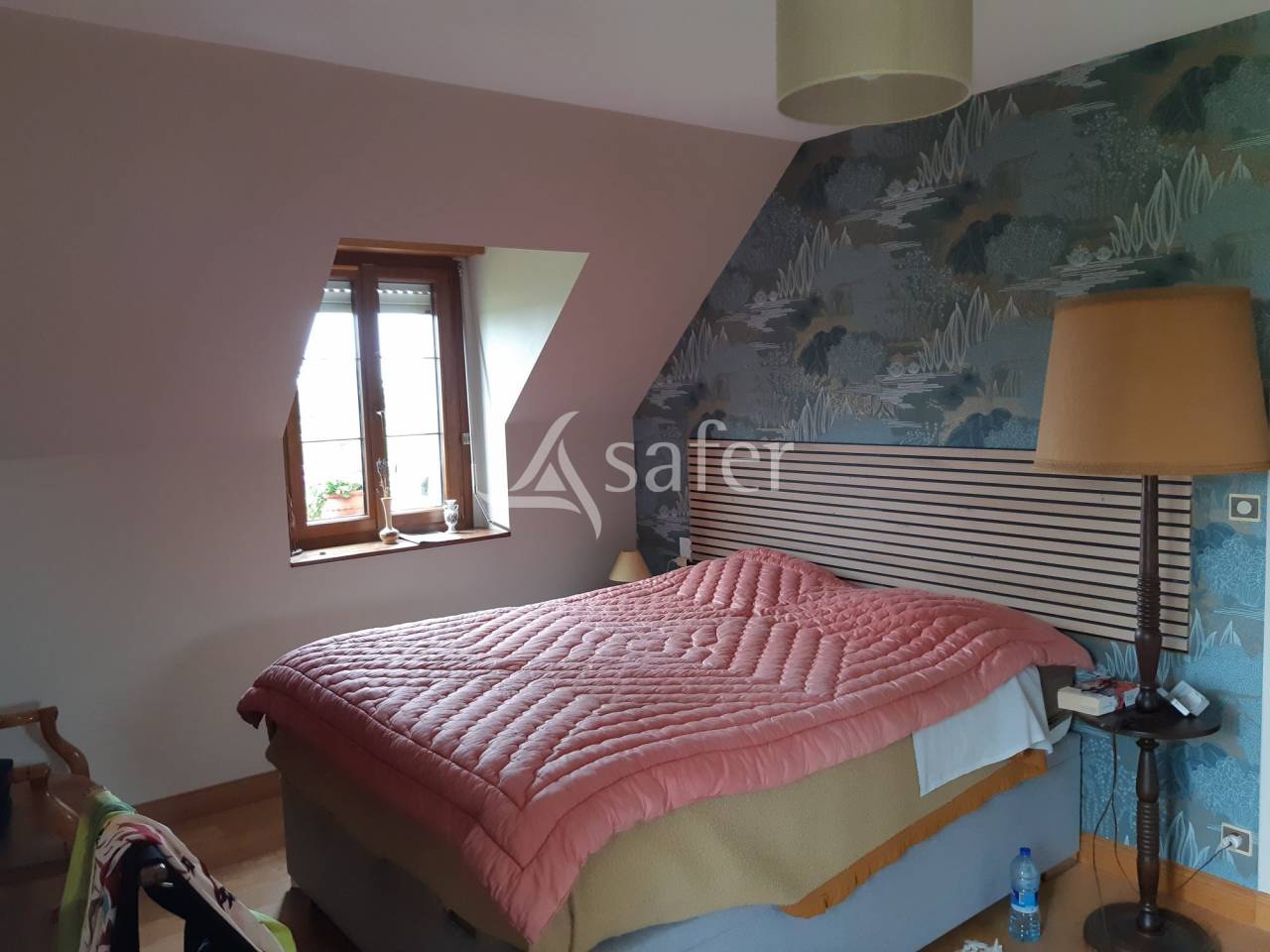 Exploitation agricole bovins viandes