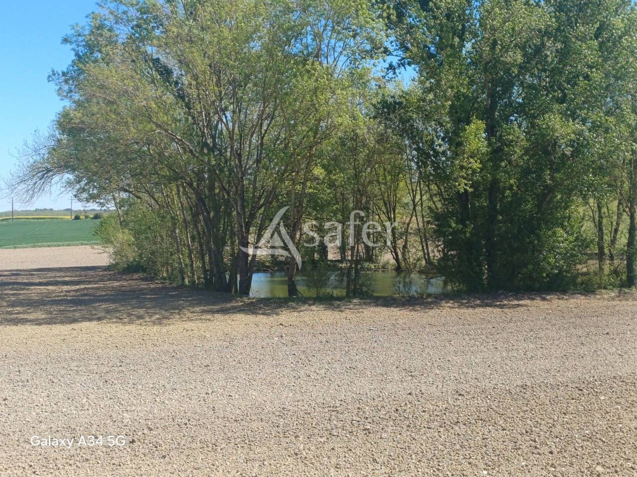 B&acirc;timent d'exploitation sur environ 4ha