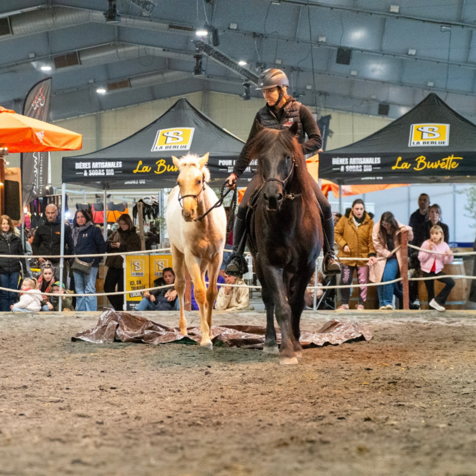 Emporio, un tr&egrave;s beau mental
