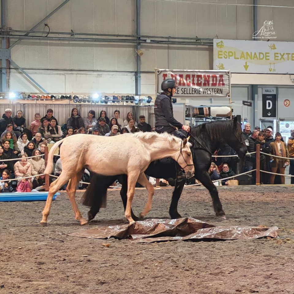 Emporio, un tr&egrave;s beau mental
