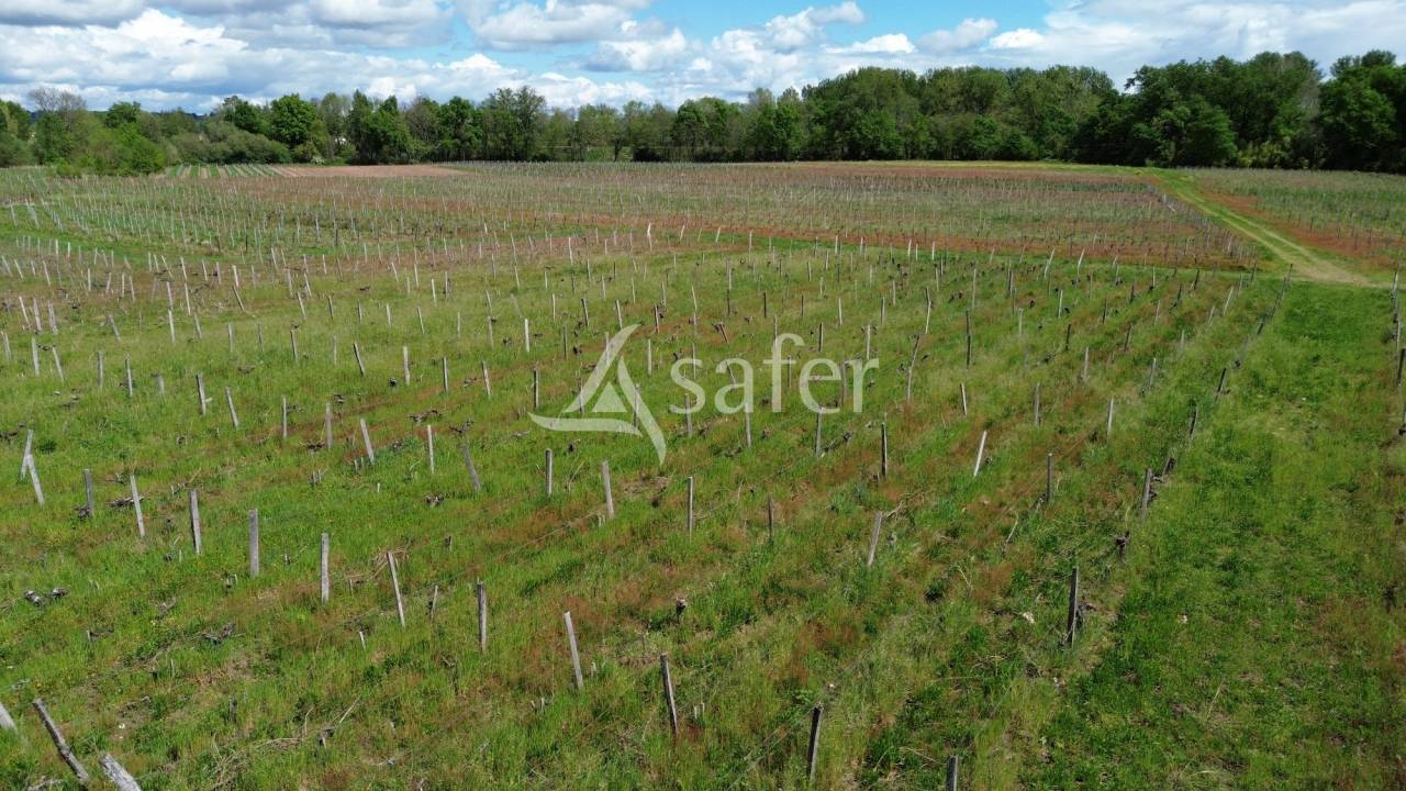 A 35 minutes au Sud de BORDEAUX: propri&eacute;t&eacute; AGRICOLE &agrave; r&eacute;nove