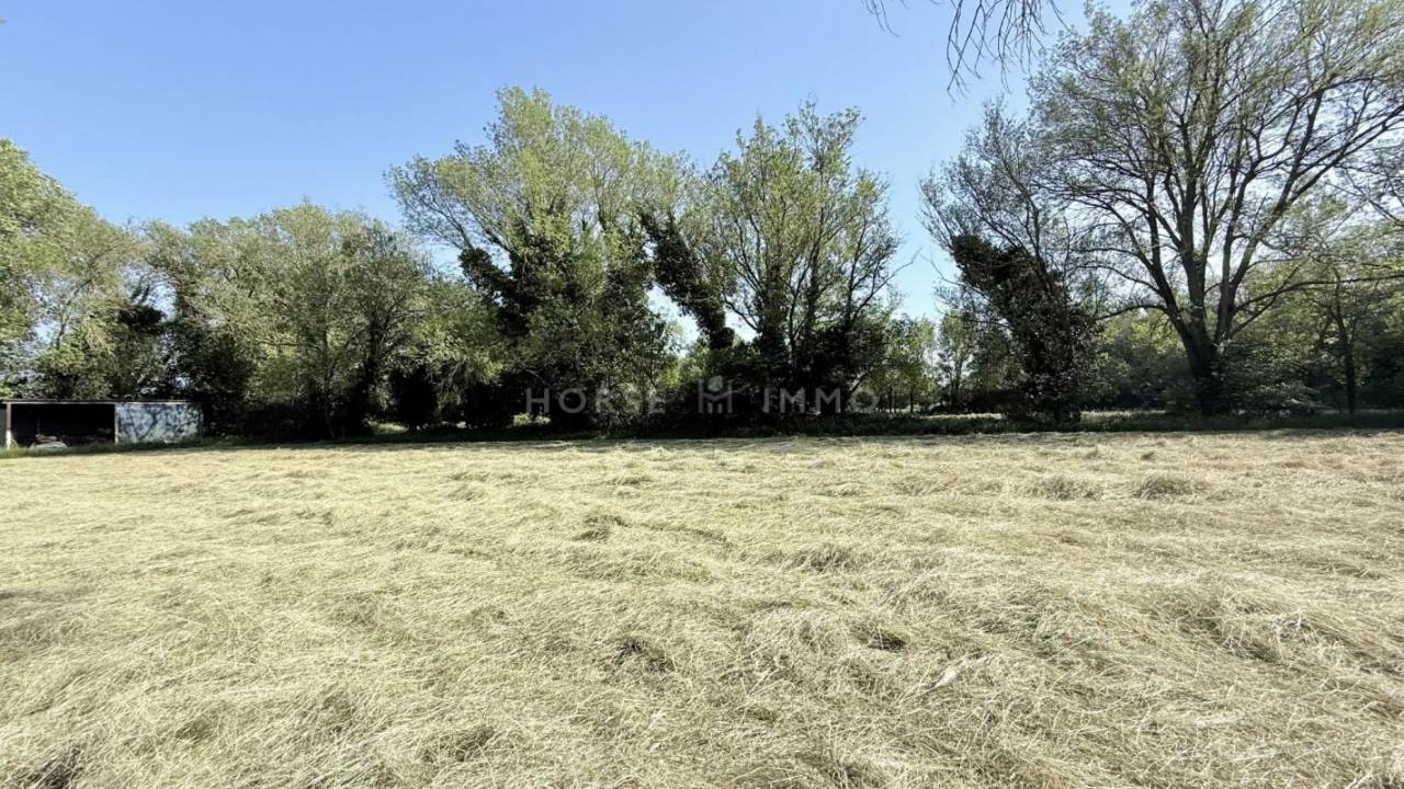 Propri&eacute;t&eacute; agricole de caract&egrave;re aux portes de Fontvieille -