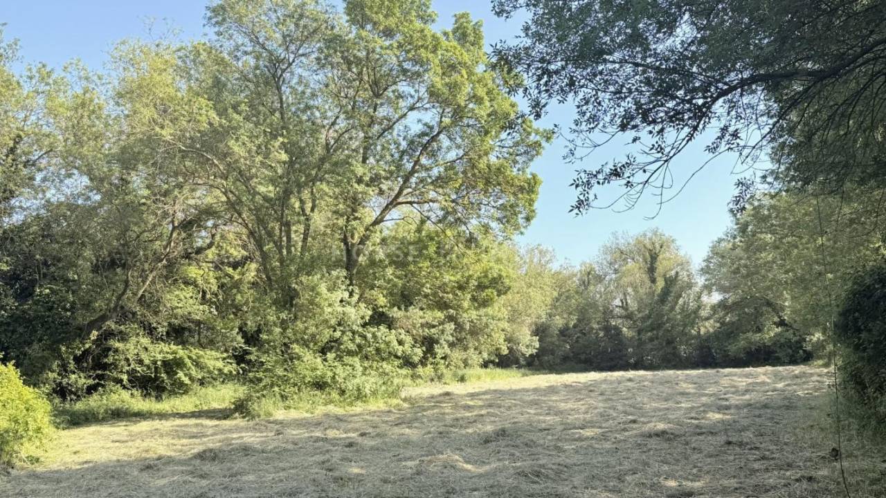 Propri&eacute;t&eacute; agricole de caract&egrave;re aux portes de Fontvieille -