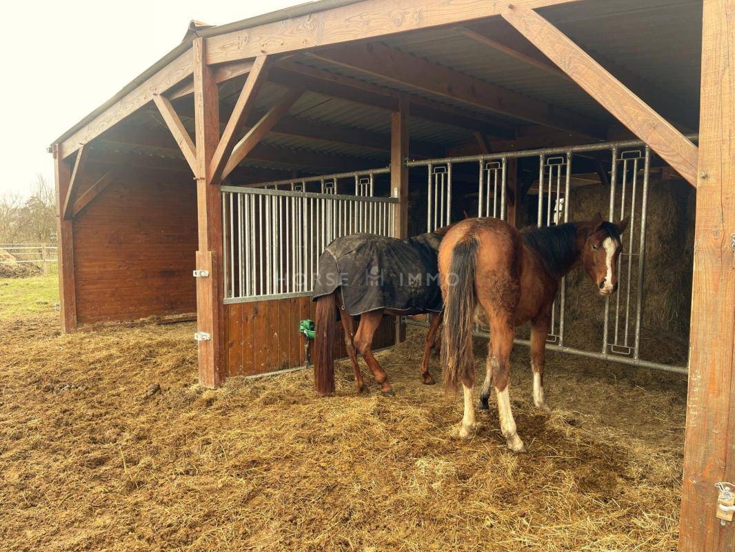 Terrain agricole Projet equestre 12,7 hectares-Houdan