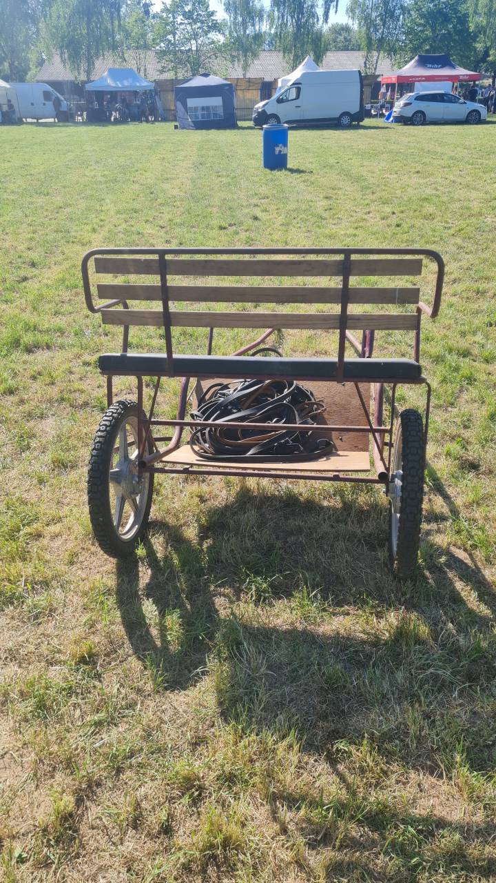 Carriole 2 roues - Poney / Ane de 1m30 &agrave; 1m40 (50150 Br