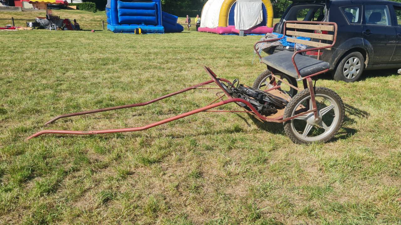 Carriole 2 roues - Poney / Ane de 1m30 &agrave; 1m40 (50150 Br