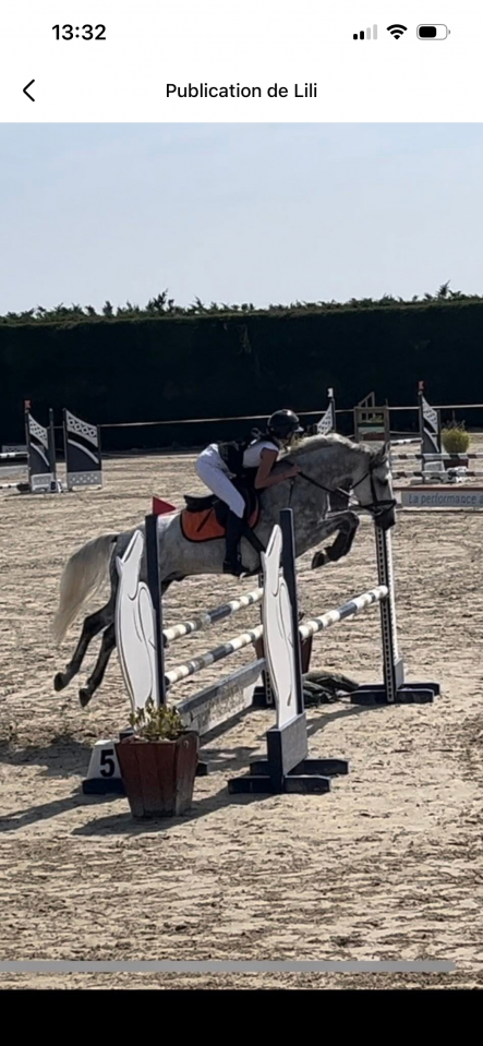 Poney D 
