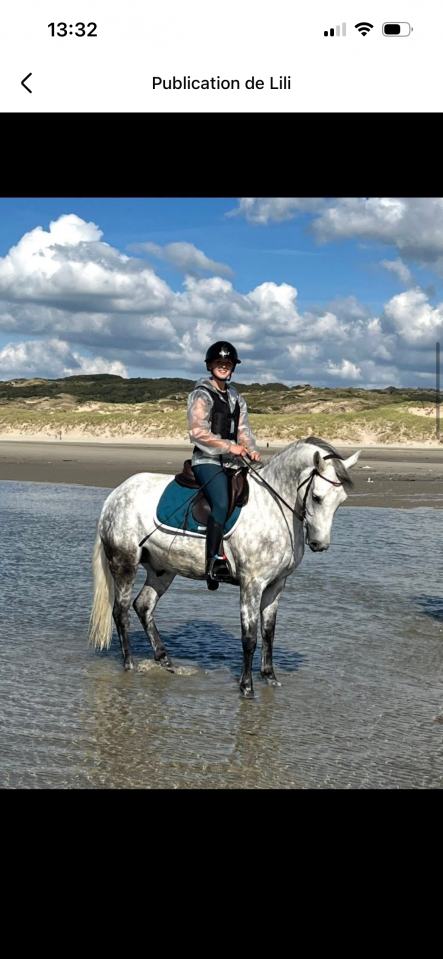 Poney D 