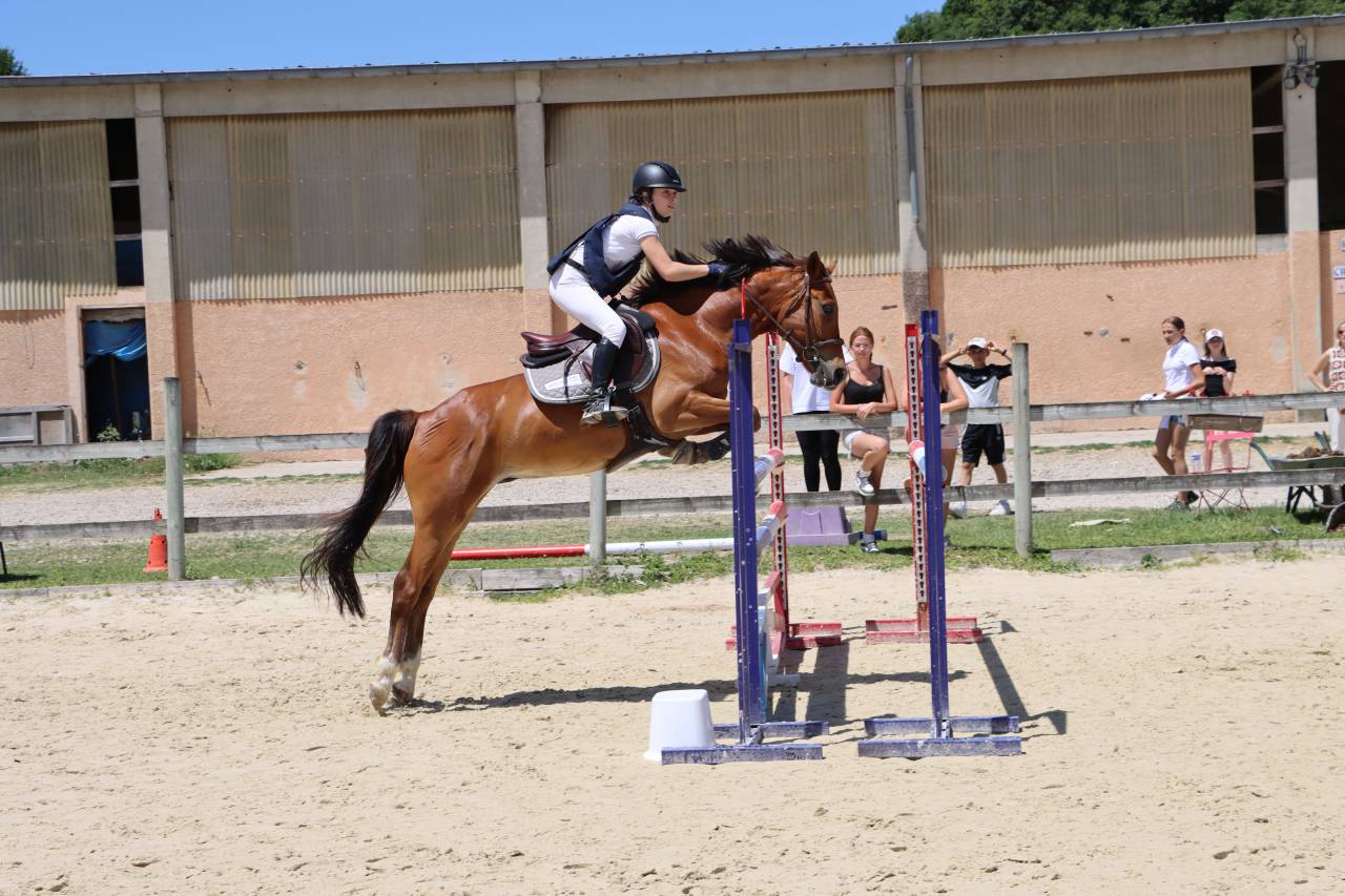 Poney de sport CSO