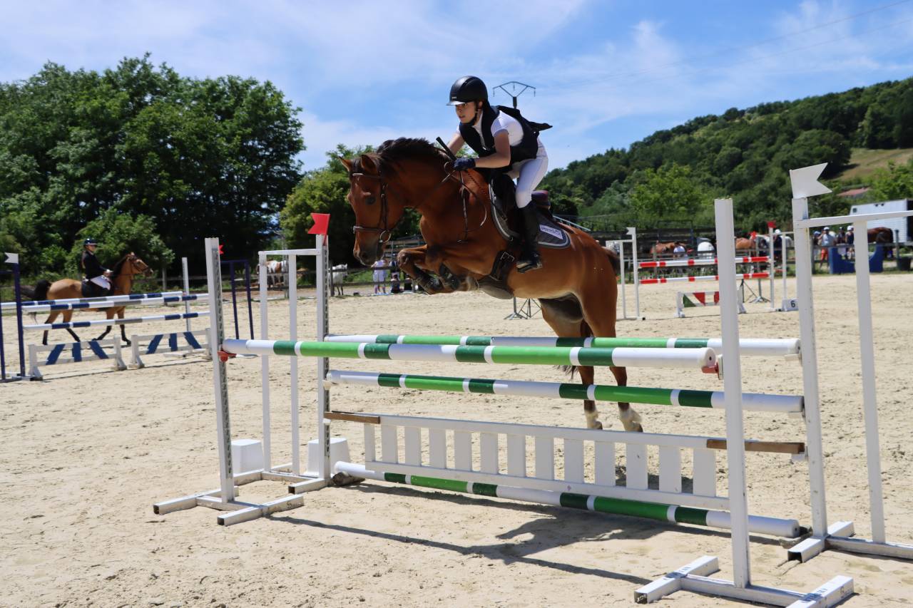 Poney de sport CSO