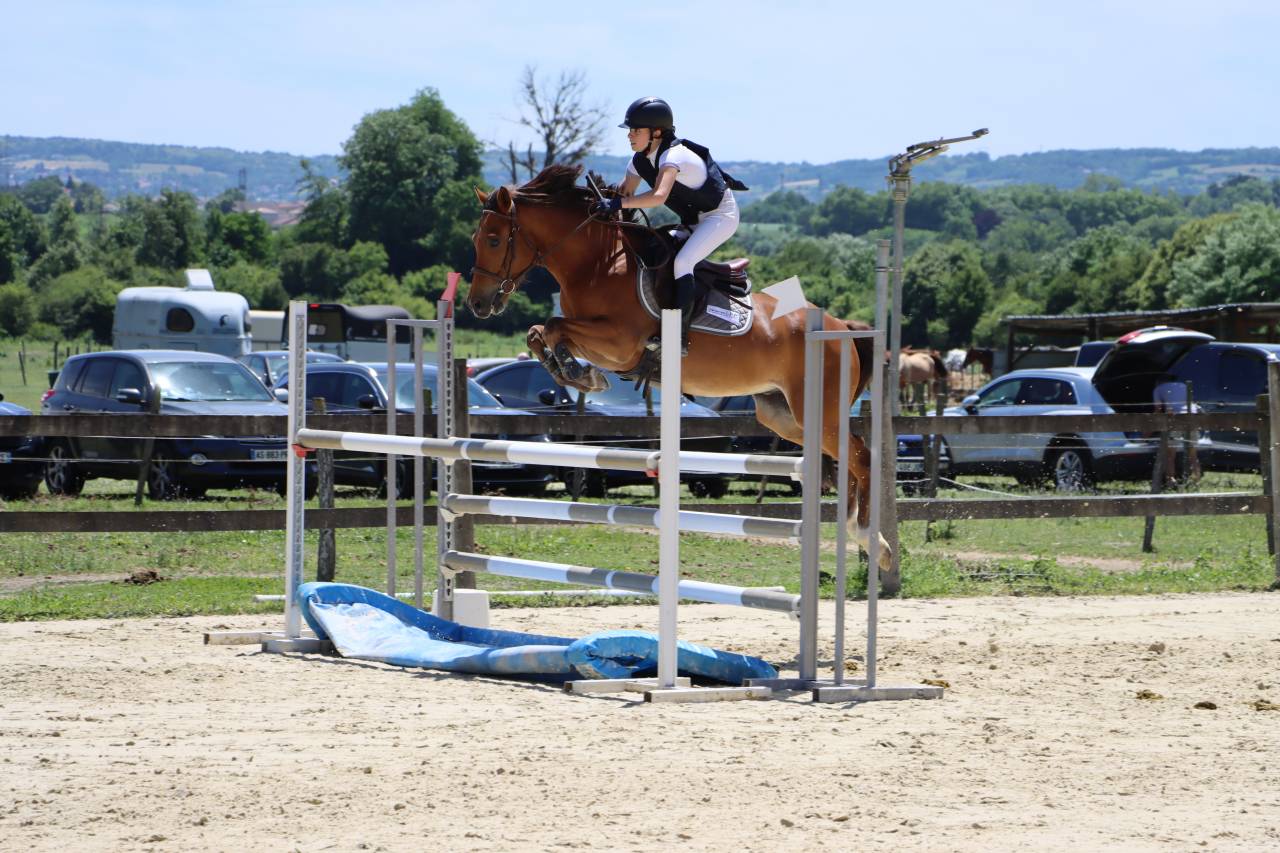 Poney de sport CSO
