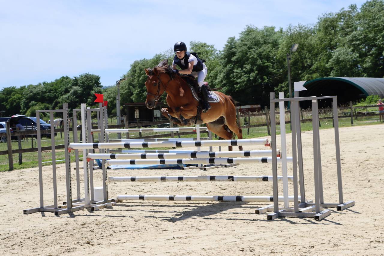 Poney de sport CSO