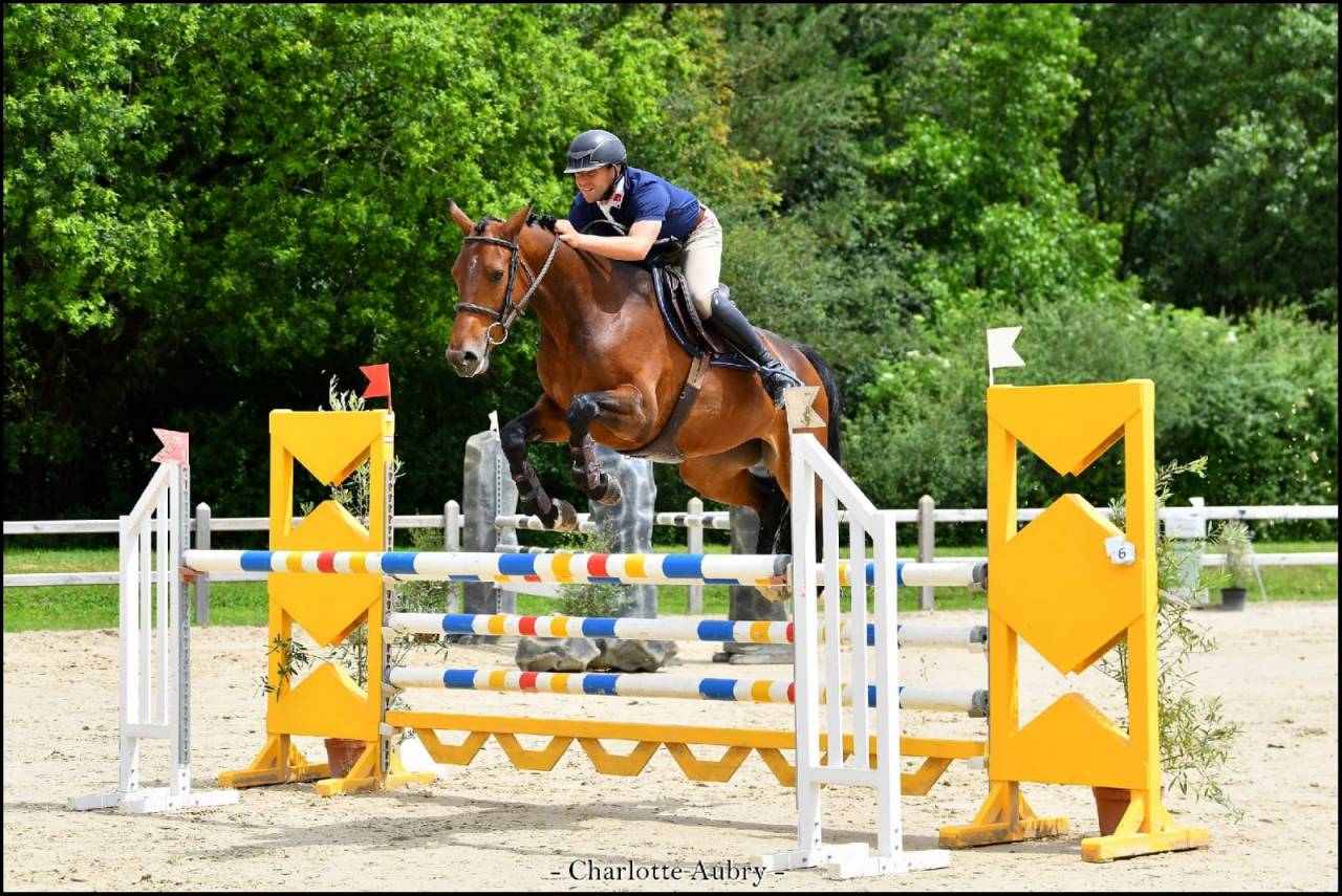 Jument sf de 7 ans - CSO 125 et +