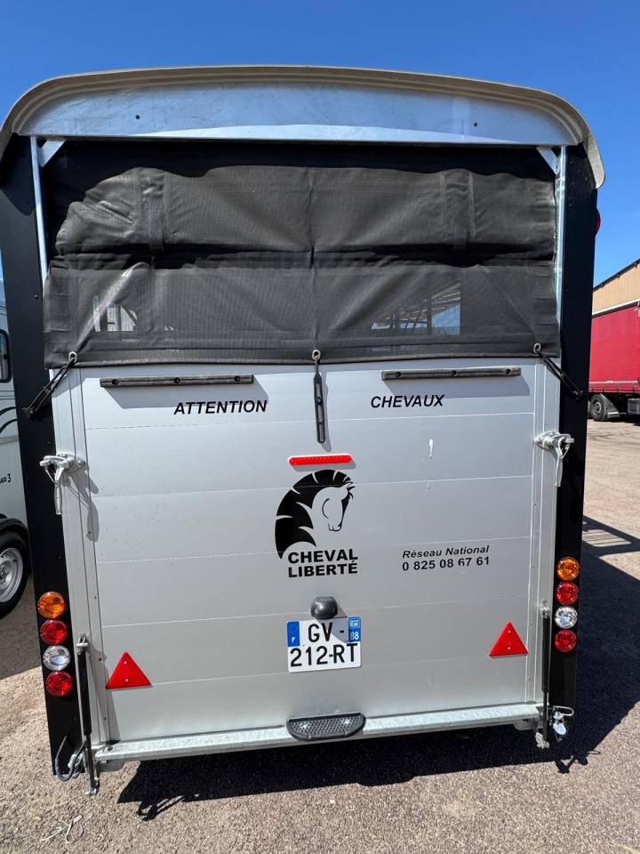 VAN 4 PLACES CHEVAL LIBERTE 