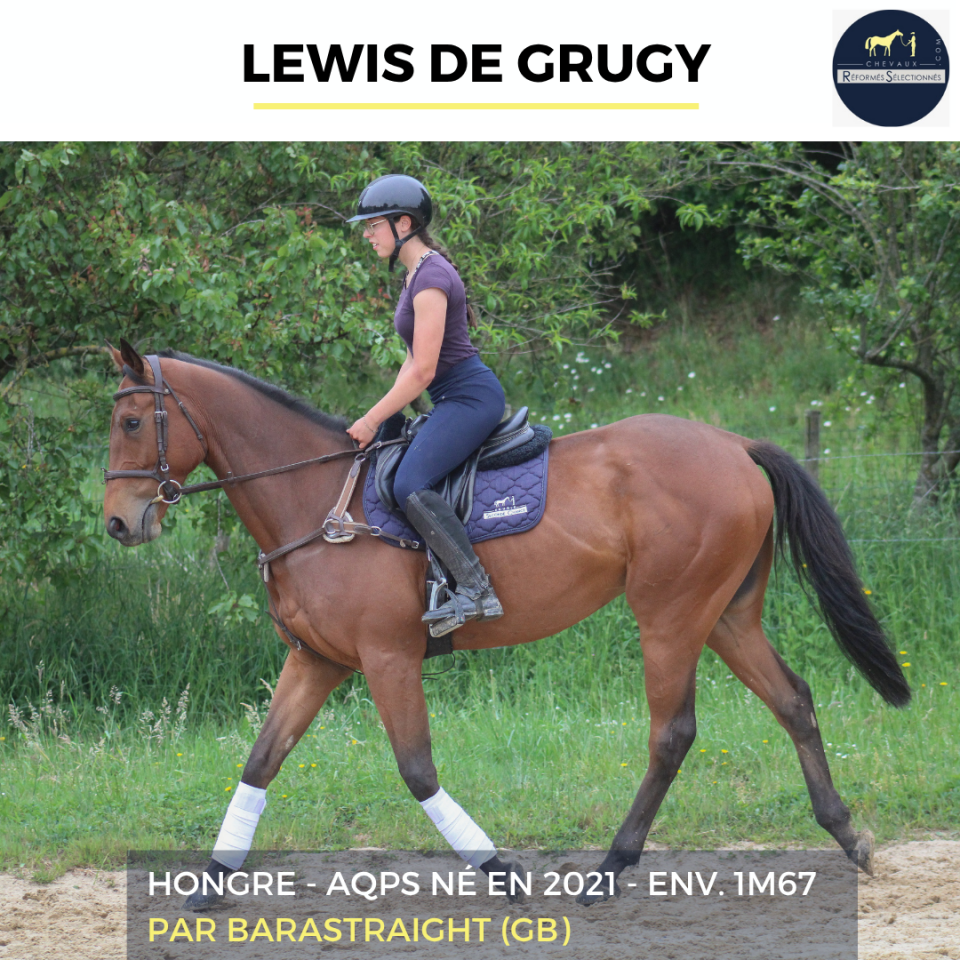 LEWIS DE GRUGY - AQPS - 4 ANS