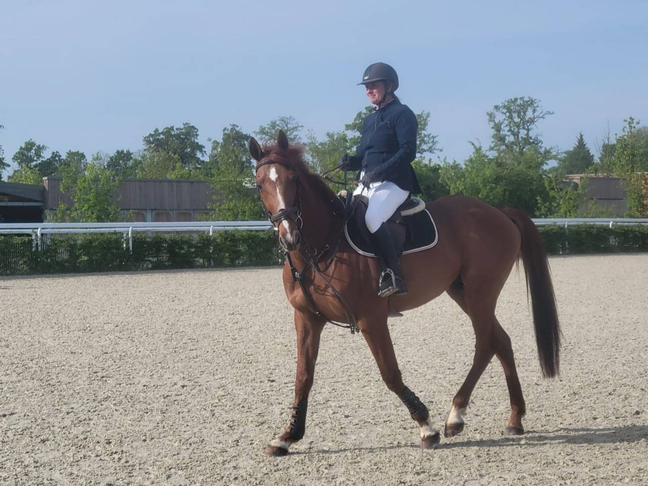 Hongre de 11 ans pour du loisir/CSO
