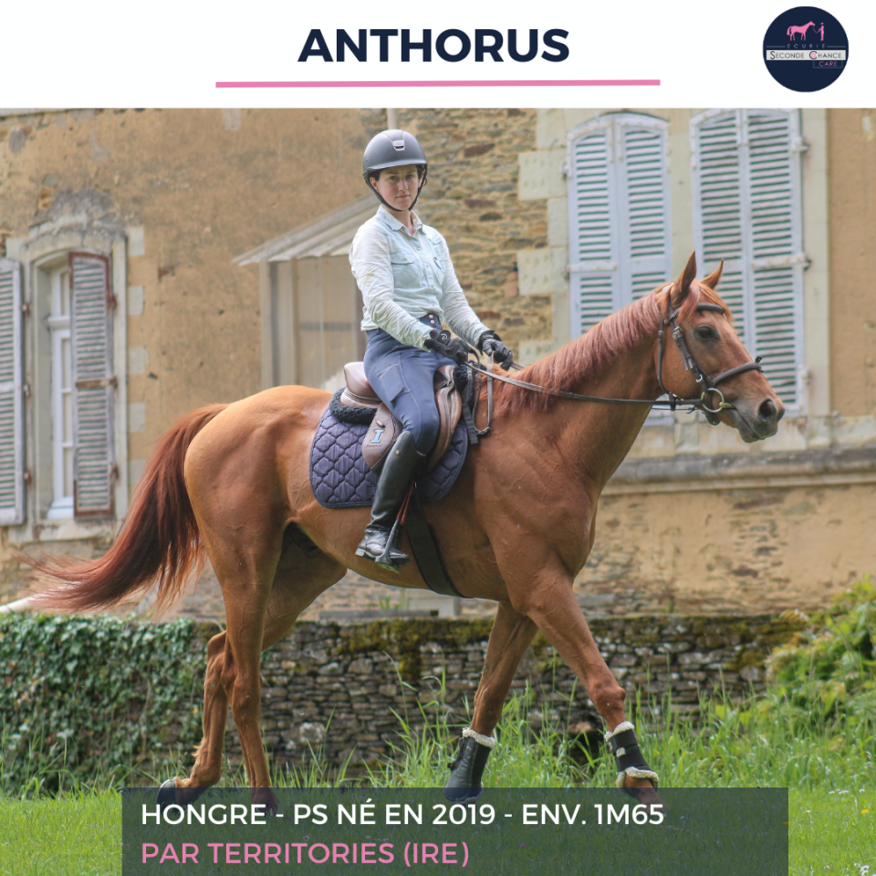 ANTHORUS - PS - 7 ANS 