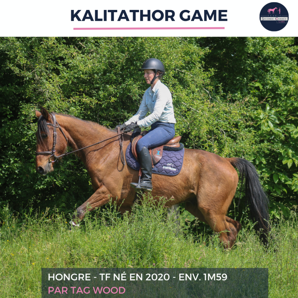 KALITATHOR GAME - TF - 6 ANS