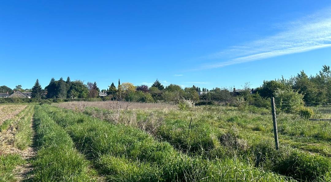 Propri&eacute;t&eacute; id&eacute;ale chevaux &ndash; 2,1 ha &ndash; 15 min d&rsquo;ANGERS