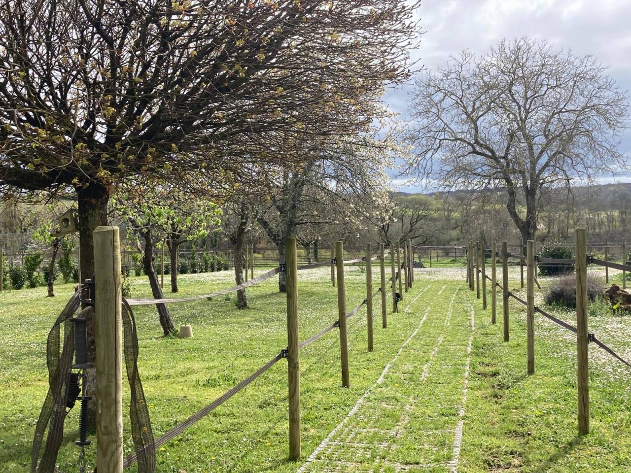 Belle demeure &eacute;questre en Gironde