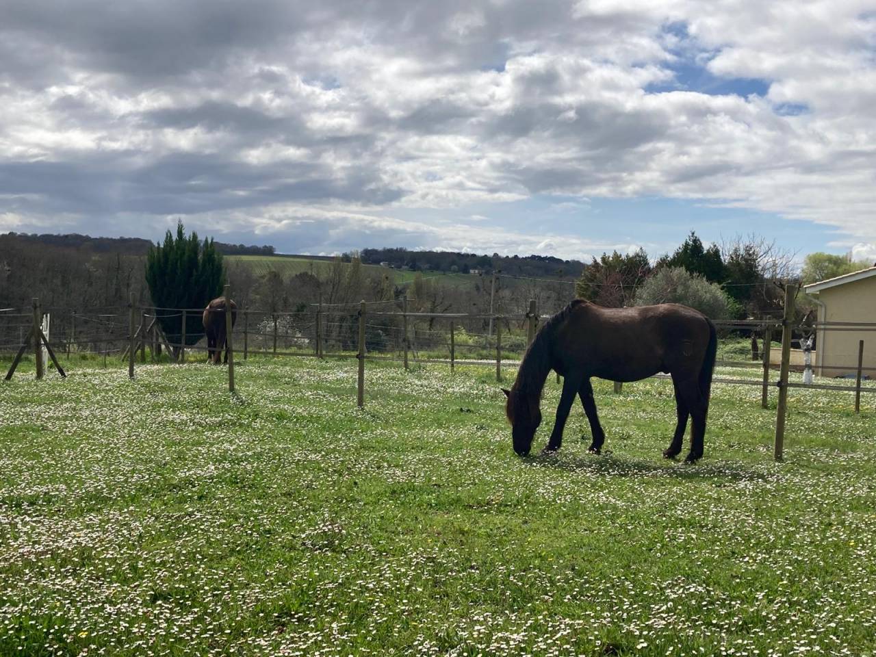 Belle demeure &eacute;questre en Gironde