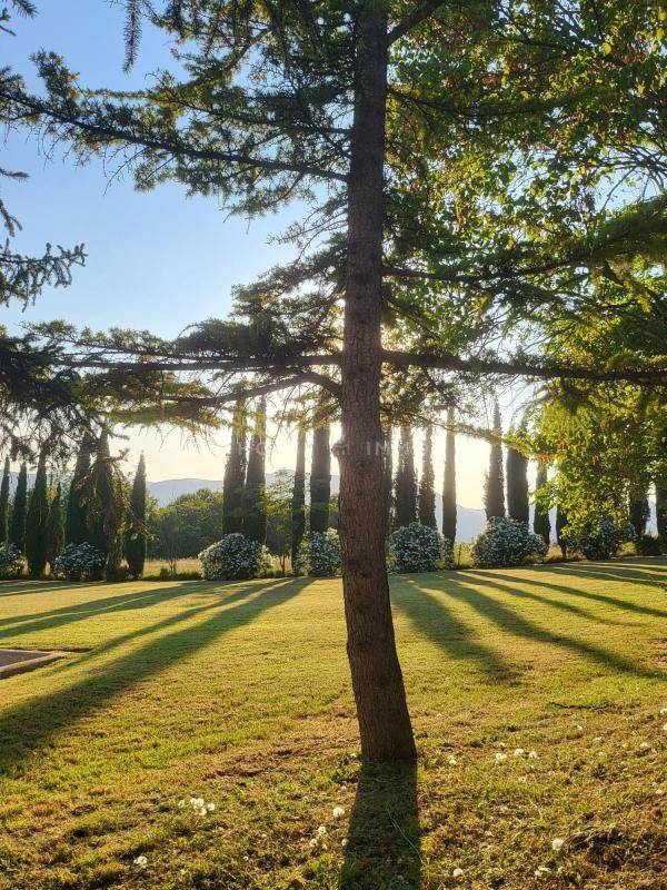 Magnifique bastide dr&ocirc;moise sur 15 hectares