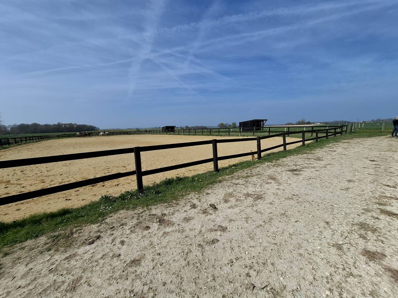 ? Propri&eacute;t&eacute; &eacute;questre de caract&egrave;re  Domaine de plus de
