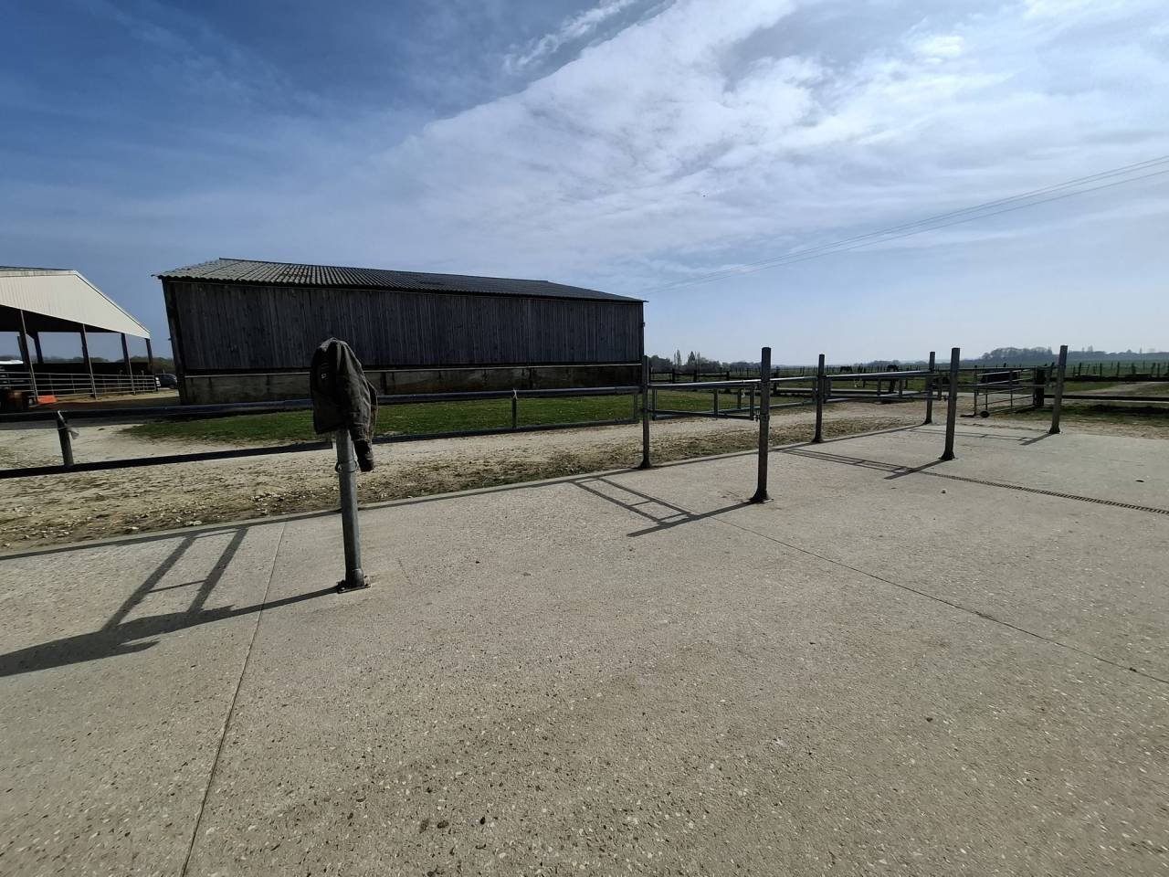 ? Propri&eacute;t&eacute; &eacute;questre de caract&egrave;re  Domaine de plus de