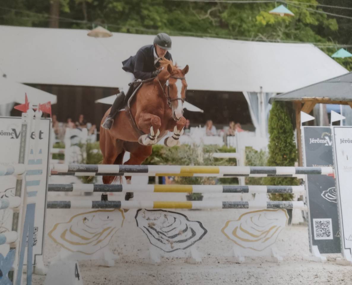 Jument &agrave; vendre pour CSO 
