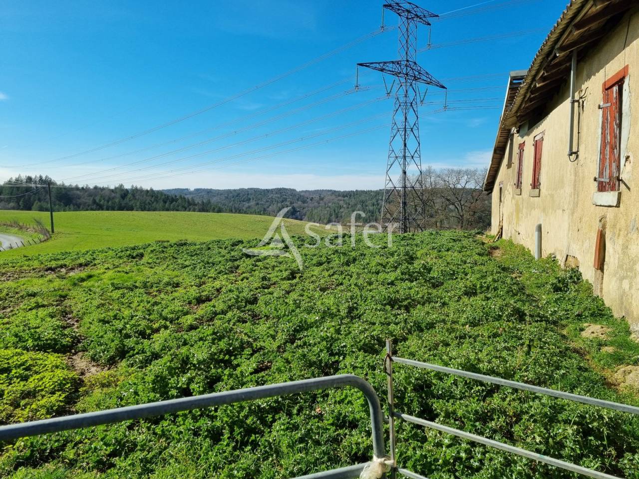Maison d'habitation avec hangar et bergerie sur 50 hectares de t