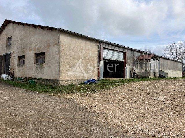 EXPLOITATION LAIT AOP Comt&eacute;