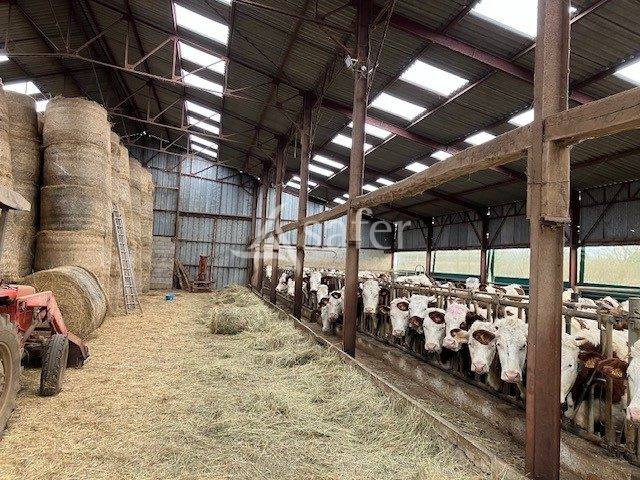 EXPLOITATION LAIT AOP Comt&eacute;