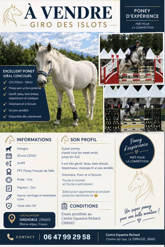Poney CSO &agrave; vendre 