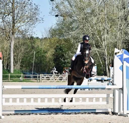 &Agrave; vendre ponette PFS taille D 9 ans