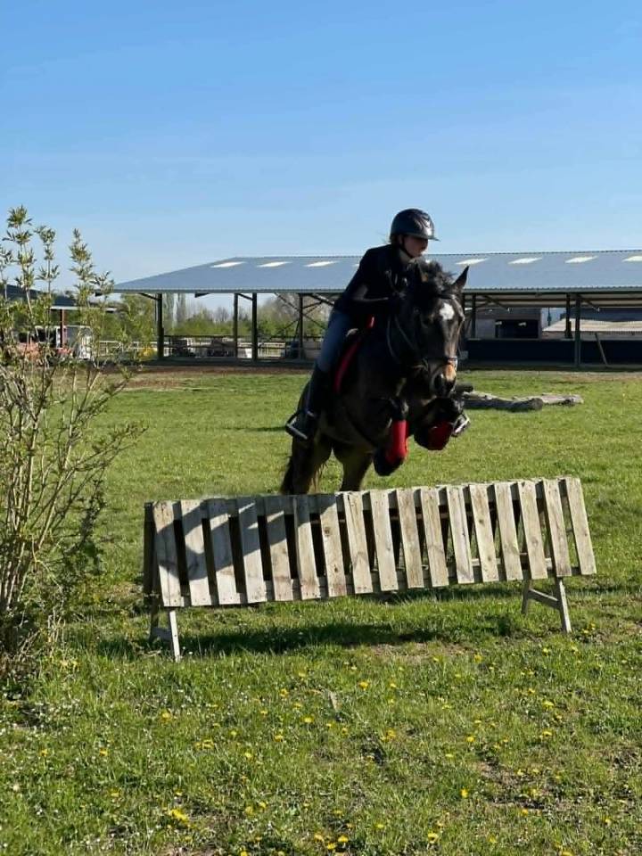 &Agrave; vendre ponette PFS taille D 9 ans