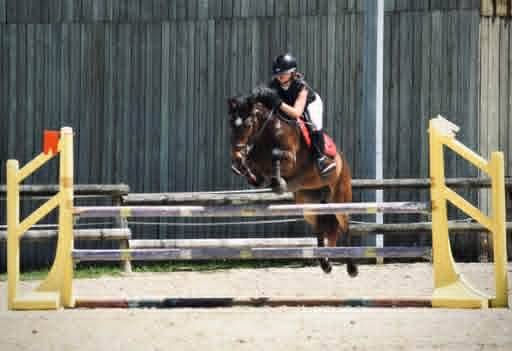 &Agrave; vendre ponette PFS taille D 9 ans