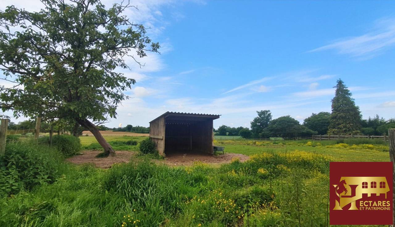 3,5 hectares et habitation r&eacute;nov&eacute;e