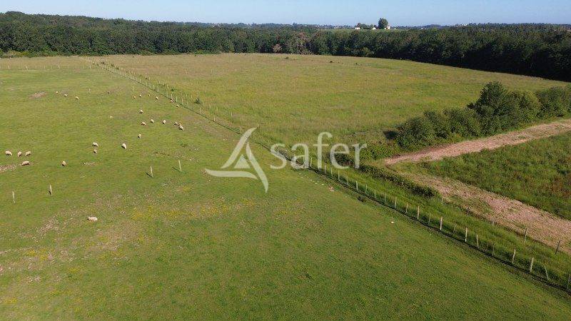 Proche DORDOGNE: propri&eacute;t&eacute; compl&egrave;te de 18 hectares, au calme