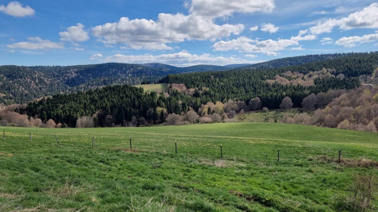 Propri&eacute;t&eacute; &eacute;questre sur 16 ha en montagne ard&eacute;choise ?