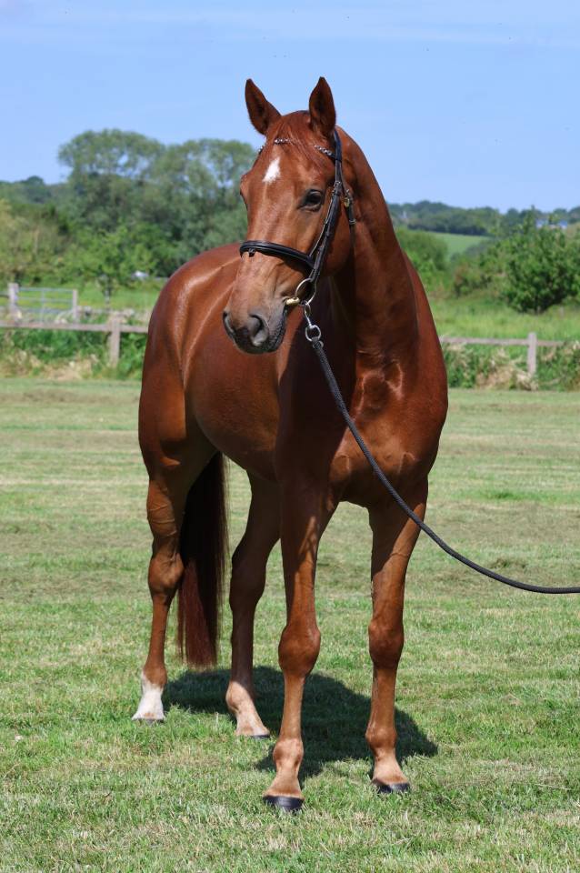 LAFAYETTE D'ANCHAT