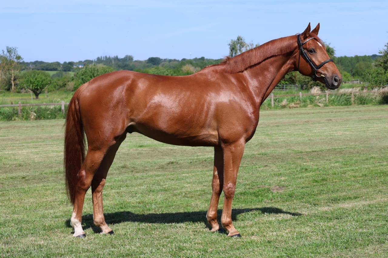 LAFAYETTE D'ANCHAT