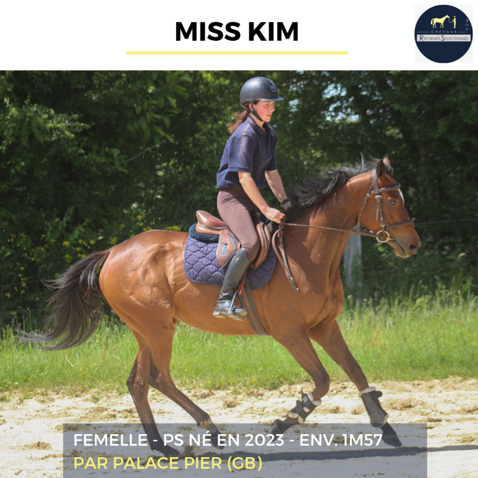 MISS KIM - PS - 3 ANS